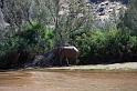 20090604_110434 D3 X1